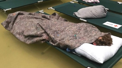 Un albergue en el condado de Jefferson se inundó durante la noche y tuvo que ser evacuado, informaron las autoridades.